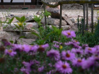 P1070088