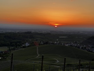 IMG_3887