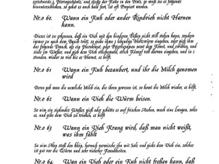 Vieharzneybuch-aus-dem-Jahr-1750-15